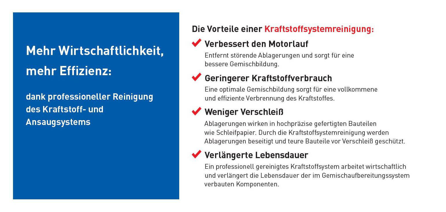 Lassen Sie den Motor Ihres Fahrzeugs professionell reinigen! Ihr Auto Check Mayer & Köhler